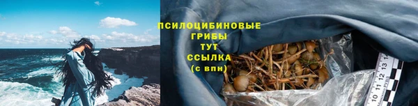 прущие крисы Волосово